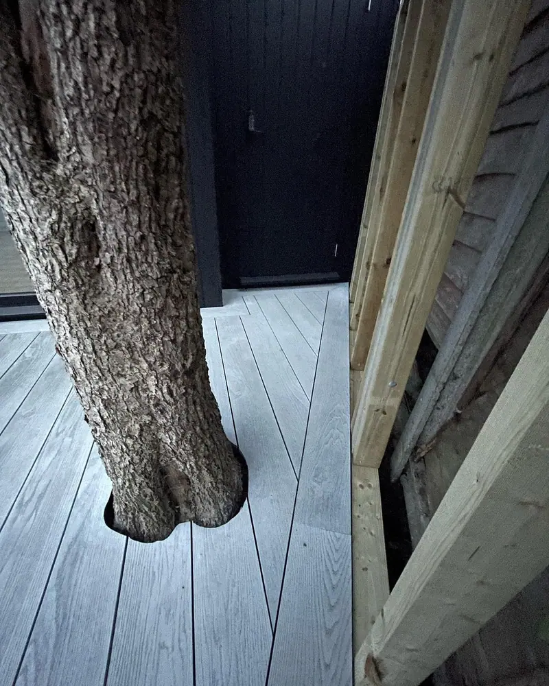 Decking job in Sussex